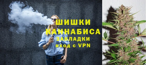 спайс Алексин