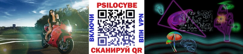 Псилоцибиновые грибы мицелий  кракен ССЫЛКА  Разумное 