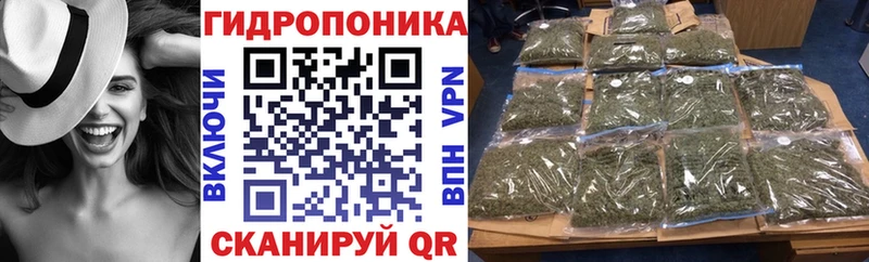 Бошки марихуана ГИДРОПОН Разумное